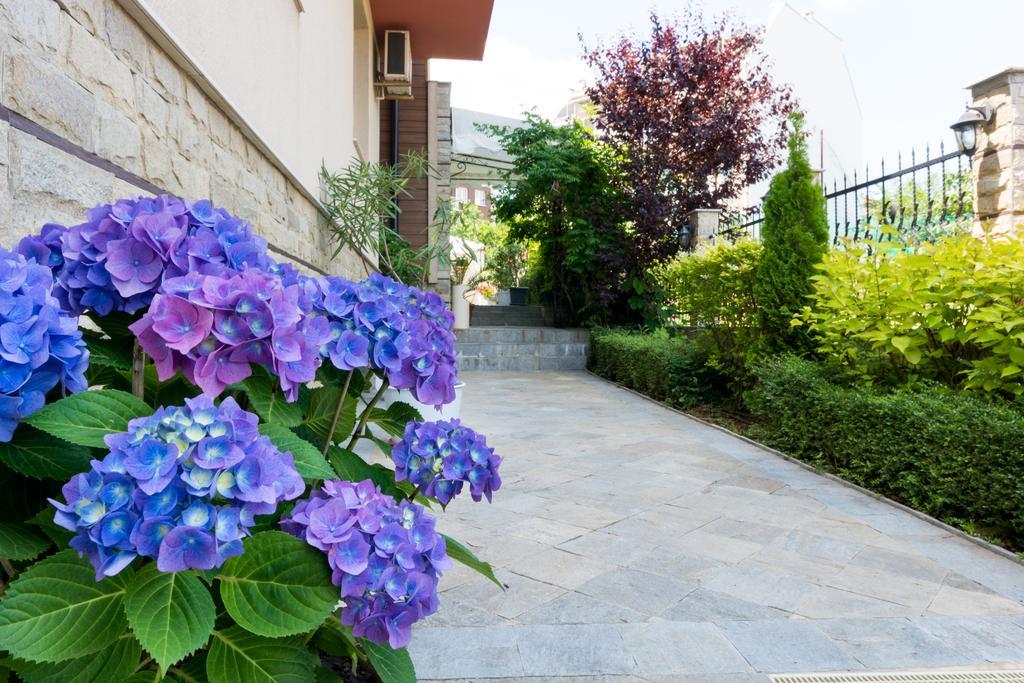 Siena House Ξενοδοχείο Σωζόπολη Εξωτερικό φωτογραφία